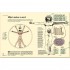 The Infographic History of the World