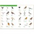 French Visual Dictionary
