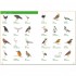 German Visual Dictionary