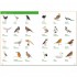 Italian Visual Dictionary