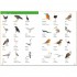 Arabic Visual Dictionary
