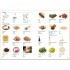 Japanese Visual Dictionary