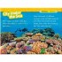 Coral Reefs