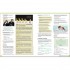 English File Fourth Edition Intermediate Student's Book with Online Practice