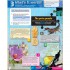English Plus Second Edition 4 Student's Book
