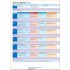 English Plus Starter Student's Book
