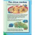 Way Ahead New Edition 3 Pupil's Book with CD-ROM