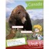 Macmillan Next Move 2 Pupil's Book with DVD-ROM