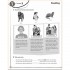 Macmillan Next Move 5 Workbook