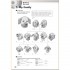 Hot Spot 1 Activity Book