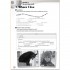 Hot Spot 3 Activity Book
