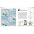 Design: The Definitive Visual Guide