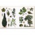 The Botanist's Sticker Anthology