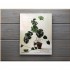 Indoor Green: Living with Plants