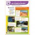English in Mind Second Edition 1 Student's Book with DVD-ROM