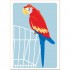 Super Minds 2 Flashcards