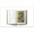 Thailand: The Cookbook