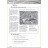 More! 2nd Edition 3 Workbook