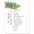 Storyfun Second Edition 6 (Flyers) Student's Book with Online Activities and Home Fun Booklet