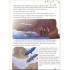 Storyfun Second Edition 6 (Flyers) Student's Book with Online Activities and Home Fun Booklet