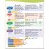Kid's Box Updated Second Edition 5 Pupil's Book