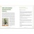How to Houseplant
