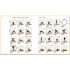 Yoga: A Manual for Life