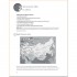Complete Russian Beginner to Intermediate Course