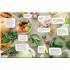 Waste Not: Make a Big Difference by Throwing Away Less