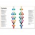 TATE Colour: A Visual History