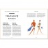 The Gentleman's Guide to Grooming