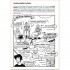 American Politics (A Graphic History)