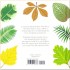 The Little Guide to Leaves