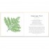 The Little Guide to Leaves