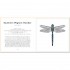 The Little Guide to Bugs