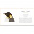 The Little Guide to Birds