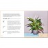 The Little Book of House Plants and Other Greenery