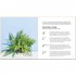 The Little Book of House Plants and Other Greenery