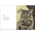 Please Stop Touching Me... and Other Haikus by Cats