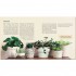 Eco-Thrifty