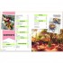 The Vegan Travel Handbook