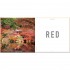 Travel by Colour