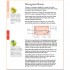 CSS in Easy Steps