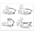 Simon's Cat