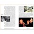 The Story of Film