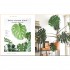 The Leaf Supply Guide to Creating Your Indoor Jungle