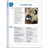 Communication Progressive du Français des Affaires 2e Édition Intermédiaire