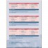Deutsch.com 2 Arbeitsbuch mit Audio-CD