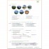 Planet Plus A2.2 Arbeitsbuch