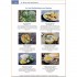 Visuelles Fachwörterbuch: Hotelfach